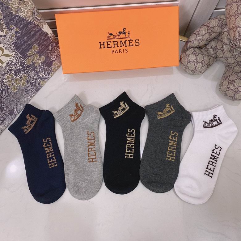 Hermes Sock 011005